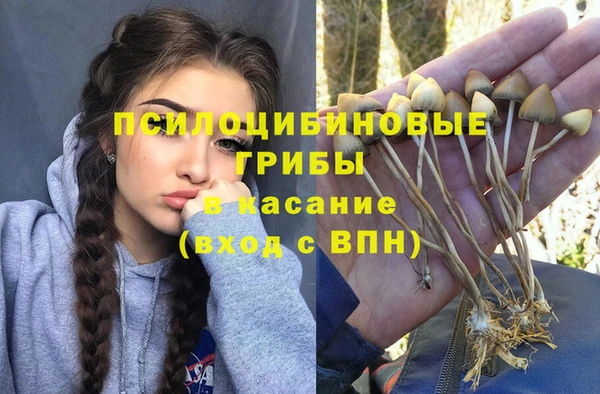 амфетамин Алексин