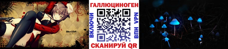 Галлюциногенные грибы мицелий  МЕГА ССЫЛКА  Новозыбков 